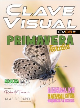 Clave Visual Magazine nº 8
