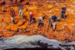 In memoriam: Antonio Camoyán